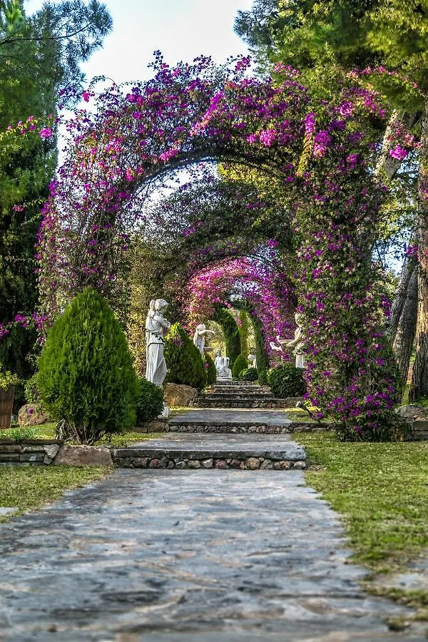 Cubo's Villa Huerta del Conde Málaga